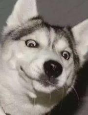 网红情侣吵架吃瓜图片大全,吃瓜群众围观热议！  第2张