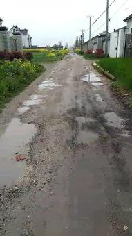 如东岔河最新爆料事件,揭秘事件背后真相