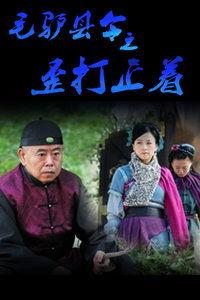 毛驴县令之歪打正着在线观看 第2张 毛驴县令之歪打正着在线观看 第2张