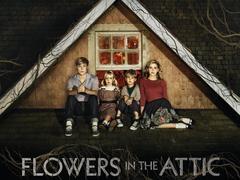 阁楼里的花在线观看,一场穿越时空的视觉盛宴