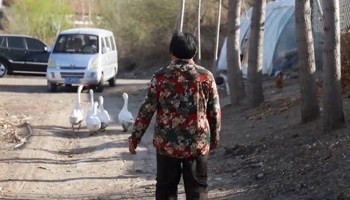 枣庄高新区爆料事件视频,事件真相揭秘 第3张 枣庄高新区爆料事件视频,事件真相揭秘 第3张