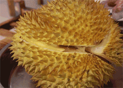 榴莲千层视频爆料,揭秘网红美食背后的制作奥秘