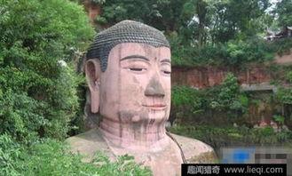 大佛最新爆料新闻事件