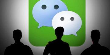 烟台爆料最新消息新闻网,热点事件追踪,详情即将揭晓 第1张 烟台爆料最新消息新闻网,热点事件追踪,详情即将揭晓 第1张