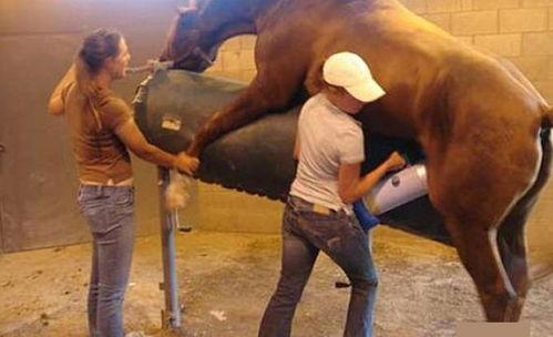 手游人马爆料视频大全