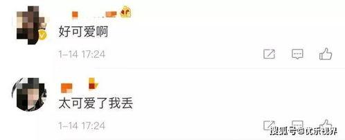 微信免费吃瓜渠道 第3张 微信免费吃瓜渠道 第3张