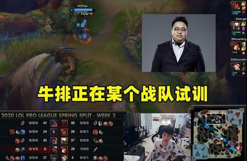 最新战队爆料视频播放,精彩瞬间与幕后故事大曝光