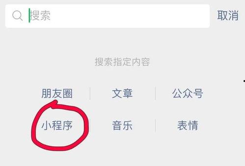 小程序最新爆料刊,功能升级与行业趋势深度解析