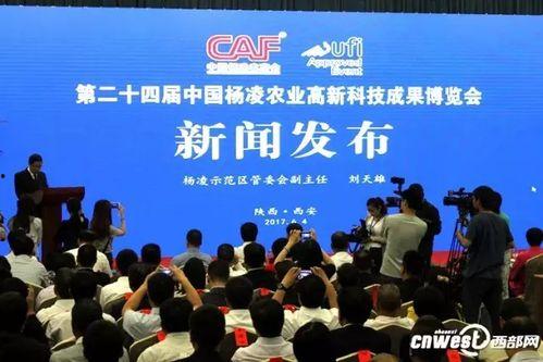 盐城周一爆料新闻,某地发生重大事件,详情即将揭晓 第3张 盐城周一爆料新闻,某地发生重大事件,详情即将揭晓 第3张