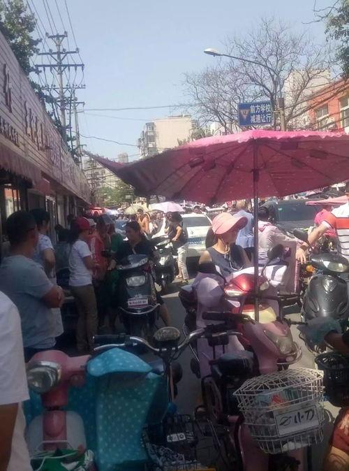 河南菜市场爆料视频最新,新鲜食材与人间烟火气交织的市井生活