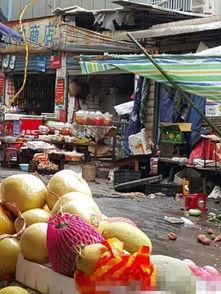 河南菜市场爆料视频最新,新鲜食材与人间烟火气交织的市井生活  第3张