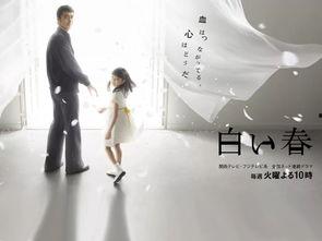 白色之春在线观看,在线观看，探寻春日里的温暖与希望