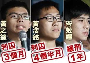 仙洋入狱新闻爆料,揭秘网红背后的法律阴影  第2张