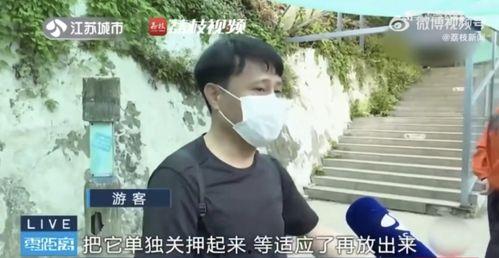 离谱吃瓜网红是谁啊,网络红人的崛起与争议  第2张