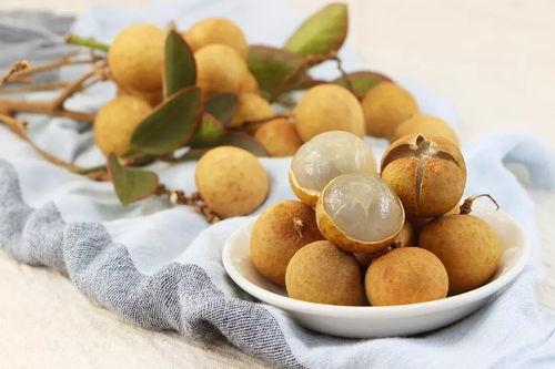 龙眼观察爆料怎么做视频,揭秘视频制作全攻略