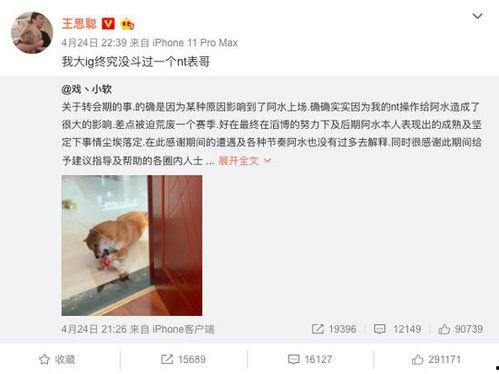 表哥吃瓜合集在线观看免费