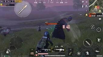 和平精英303最新爆料