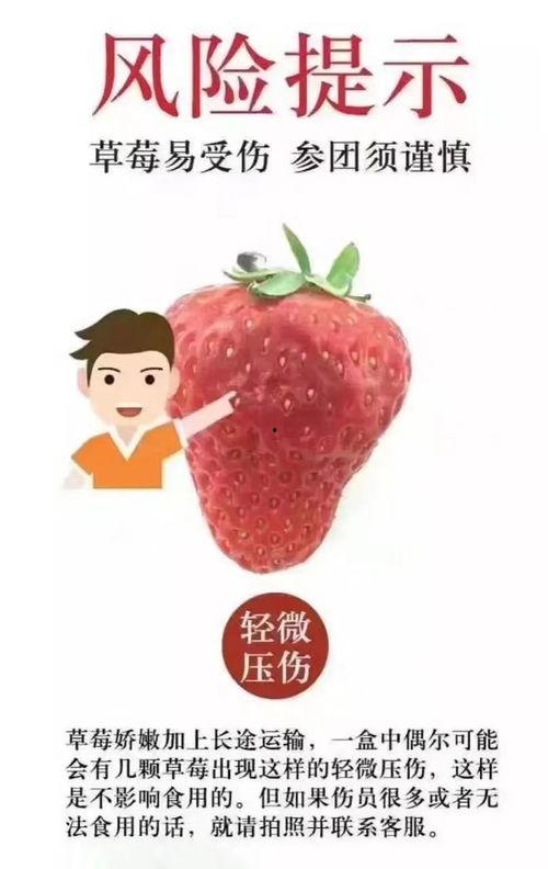 草莓尖尖爆料视频,揭秘幕后故事 第2张 草莓尖尖爆料视频,揭秘幕后故事 第2张