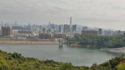 深圳龙桥最新爆料新闻,揭秘工程进展与背后故事  第1张